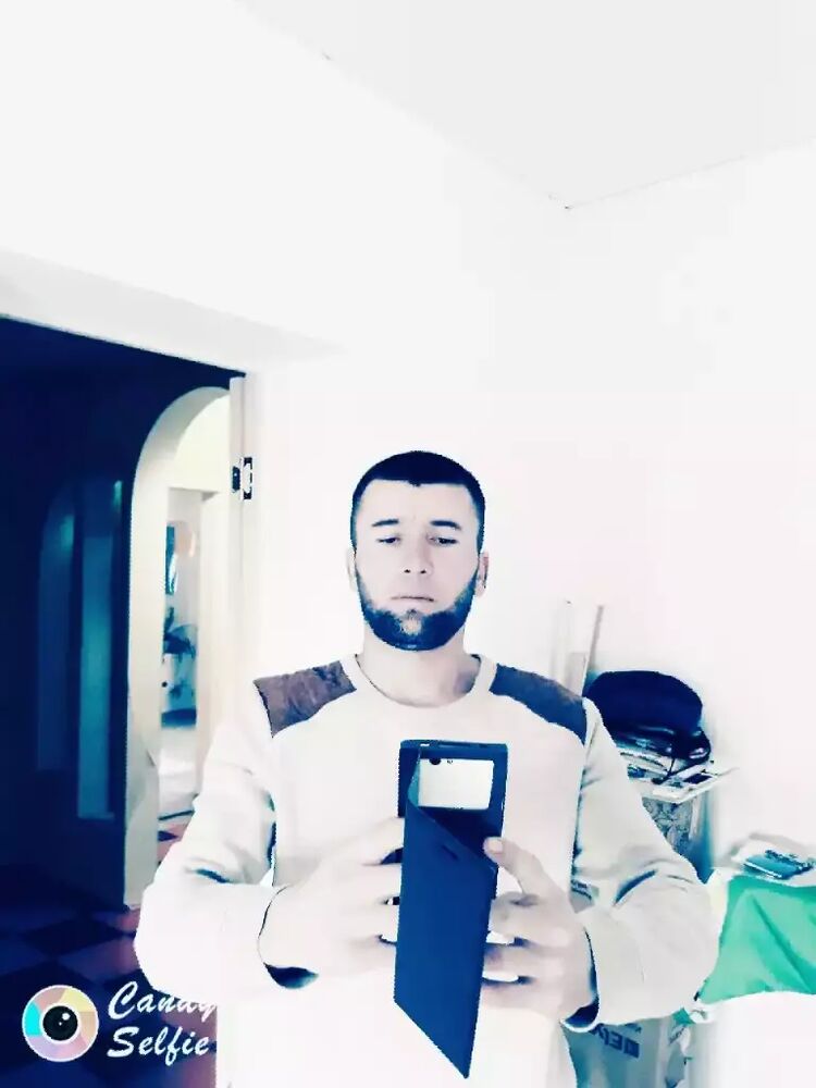 23856686  , 44 ,    
