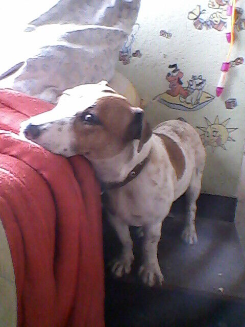 ���������� ������, ���� ������� ����, 58 ���, ������������ ��� ����� � ���������, c�������� ���������