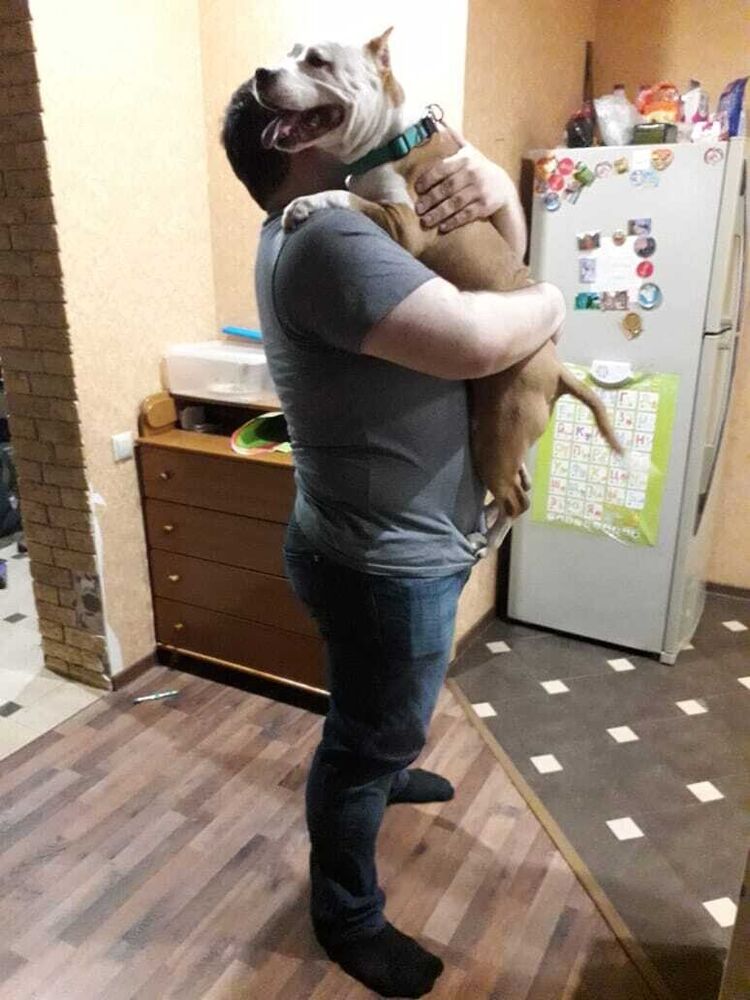 ���������� ������, ���� ������� MrDensav, 45 ���, ������������ ��� ������, ����� � ���������, c�������� ���������