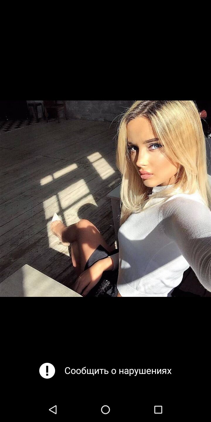 ���� 23101666 ������� �����, 24 ����, ���� ���������� � ������