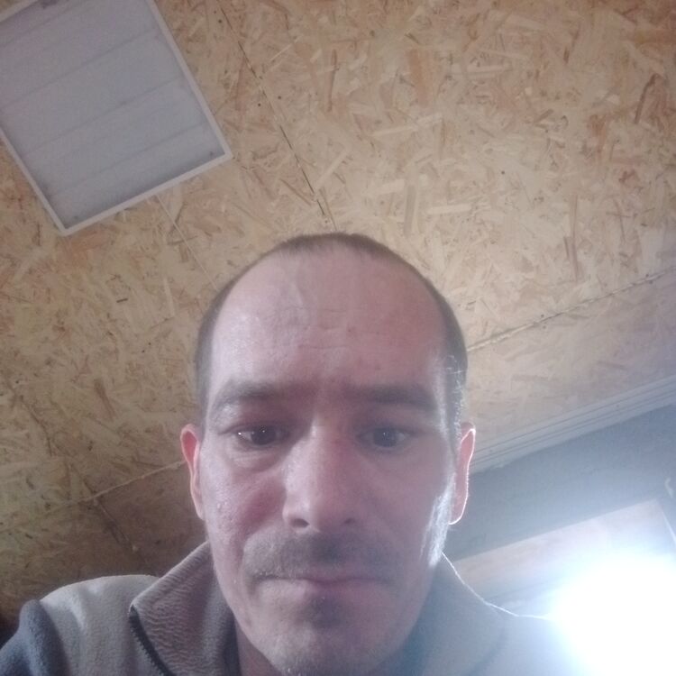  50494316  , 37 ,    