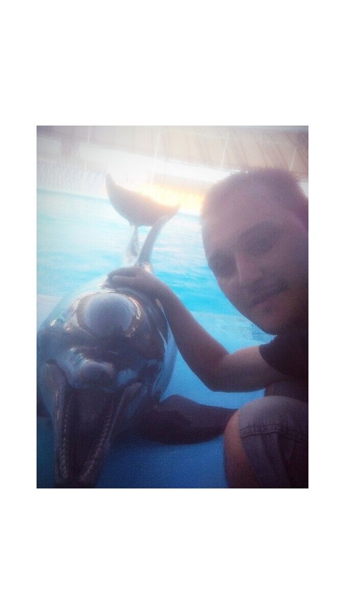 ���� 20232826 ������� ������, 33 ����, ���� ���������� � ���������