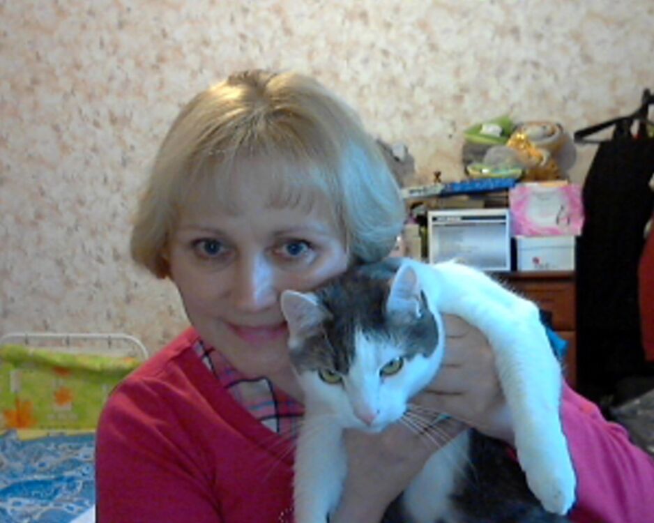  -,   , 58 ,   ,   , c 