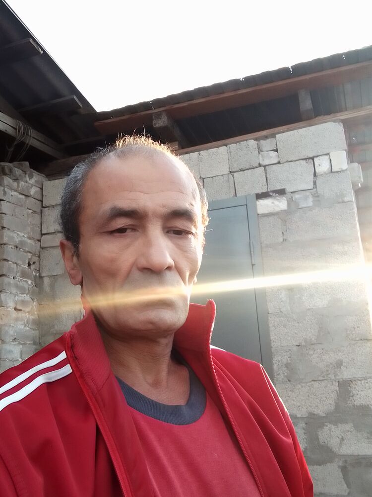  43896216  , 55 ,    