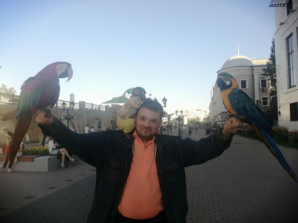 ���� 28566236 ������� �����, 44 ����, ���� ���������� � ���������� ������