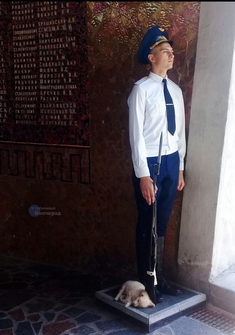 ���� 40751486 ������� �����, 33 ����, ���� ���������� � ������