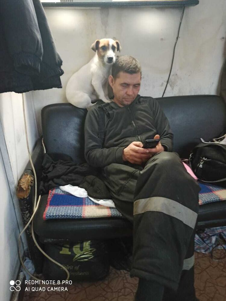  54386056  , 42 ,    -