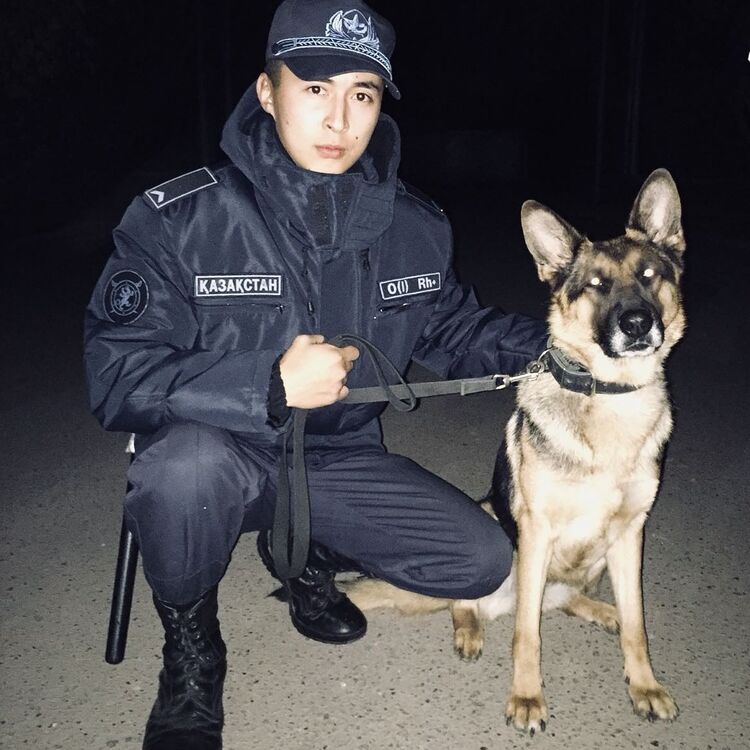 ���� 13833096 ������� ����, 29 ���, ���� ���������� � ������