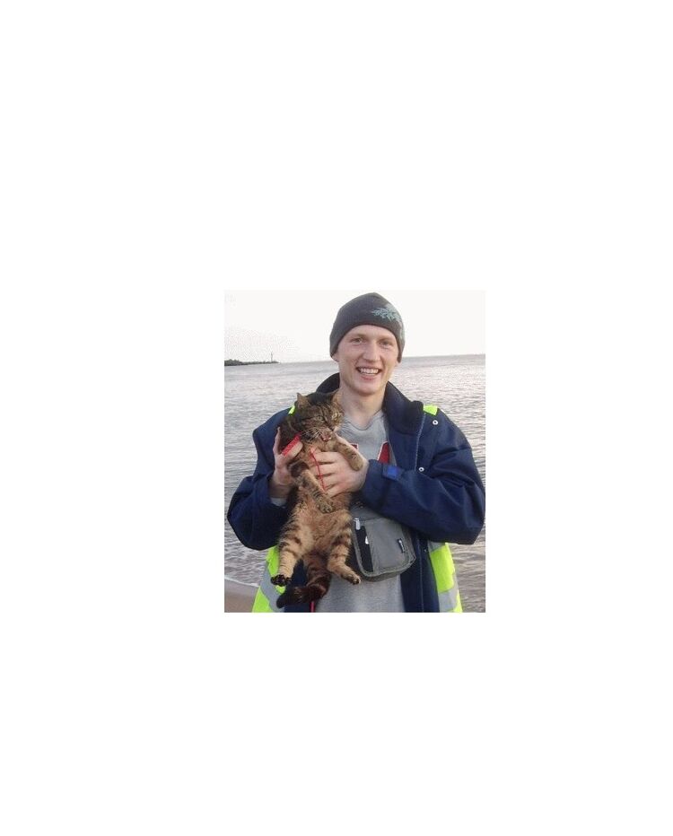 ���������� ��������, ���� ������� ������ �����, 44 ����, ������������ ��� ���������