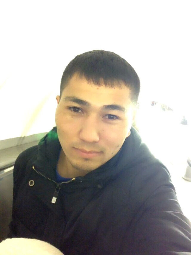  31330666  , 36 ,    