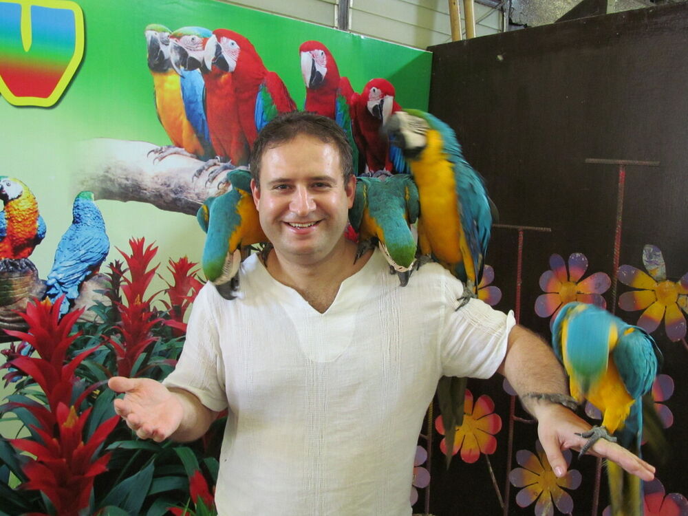 ���������� ���������, ���� ������� ����������, 50 ���, ������������ ��� ����� � ���������, c�������� ���������