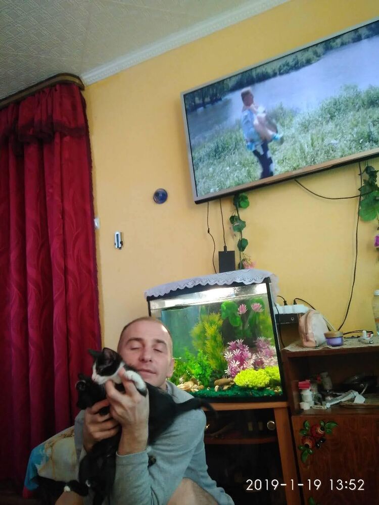  44074556  , 48 ,    