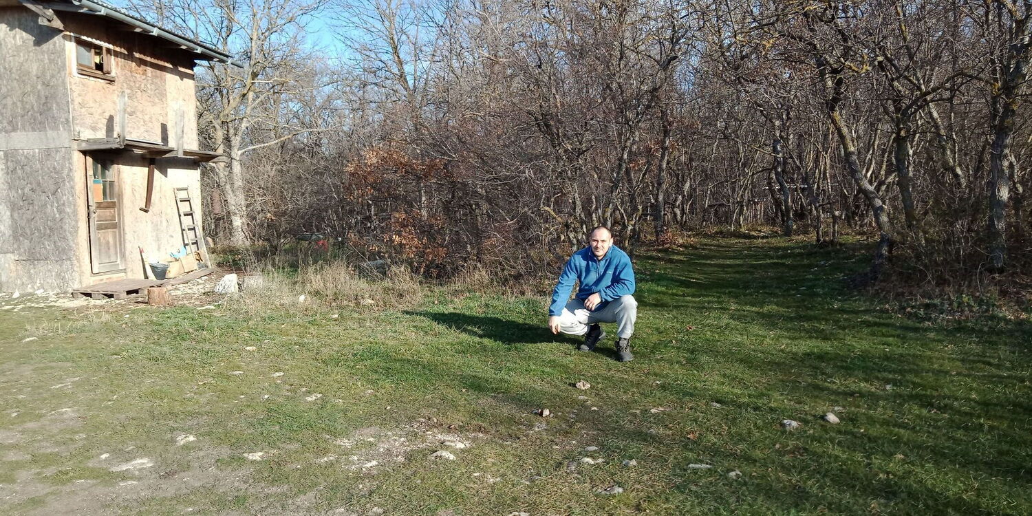 ���������� �����������, ���� ������� ���������, 45 ���, ������������ ��� ������, ����� � ���������