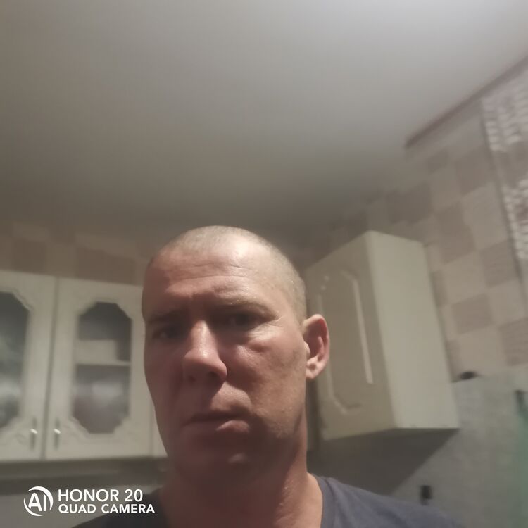 40469296  , 37 ,    