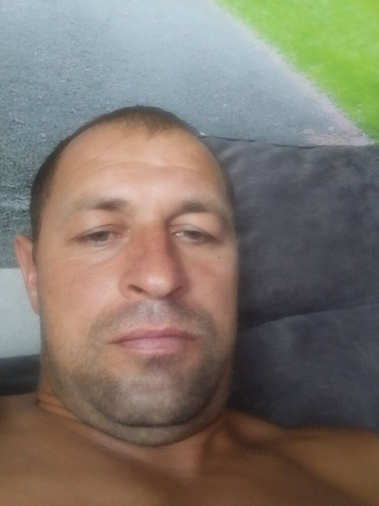  49964116  , 40 ,    