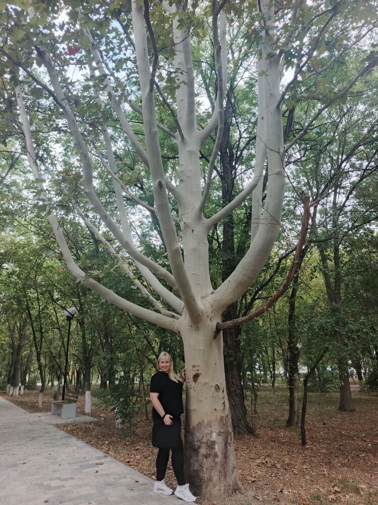 ���������� ������������, ���� ������� ������, 42 ����, ������������ ��� ������, ����� � ���������, c�������� ���������