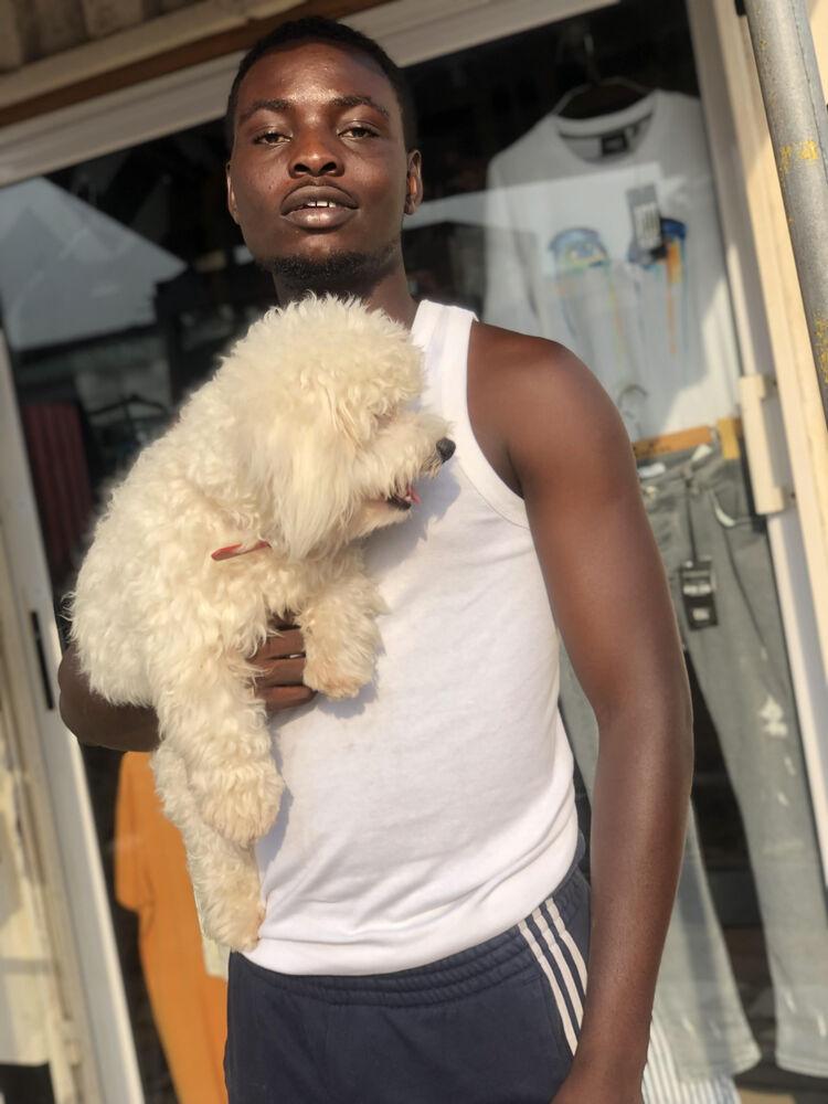 ���� 28140166 ������� Blacq, 54 ����, ���� ���������� � Seefeld