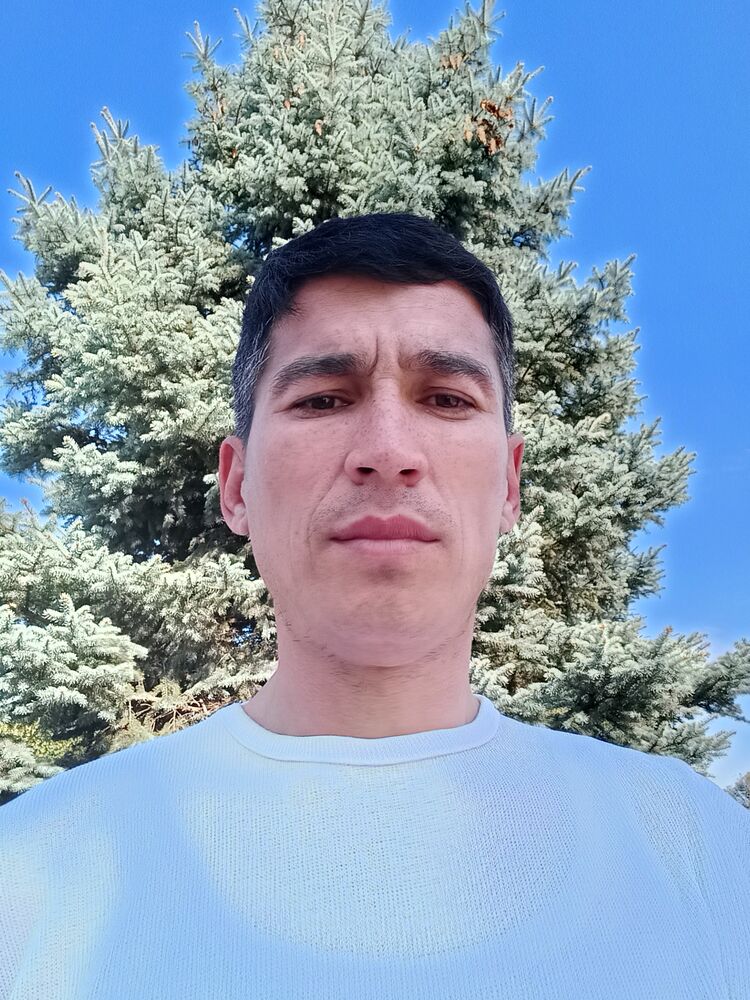 ���� 38022706 ������� ����, 41 ���, ���� ���������� � ������