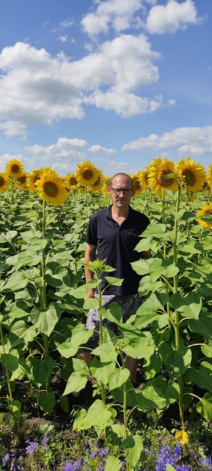 ���� 56008876 ������� Danil, 41 ���, ���� ���������� � ����������