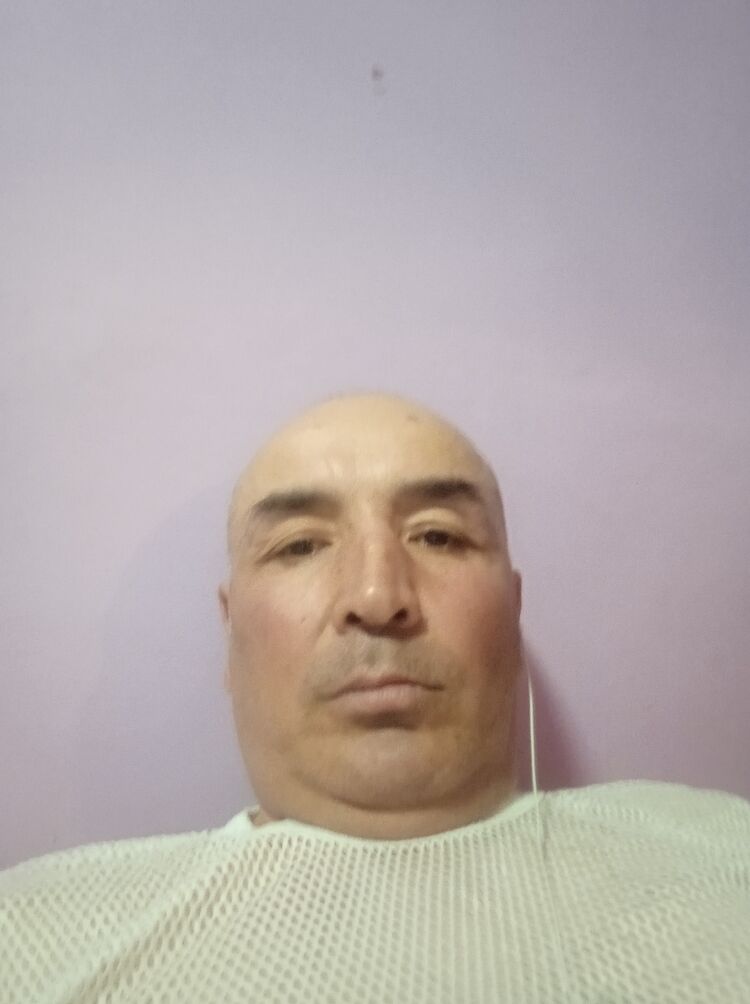 ���� 42659006 ������� �������, 48 ���, ���� ���������� � ������