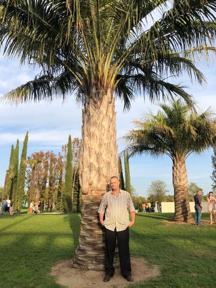 ���������� ���������, ���� ������� ������, 55 ���, ������������ 