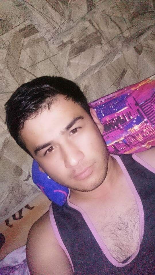  8711186  , 31 ,    -