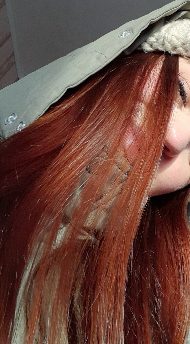 ���� 55335136 ������� �������, 18 ���, ���� ���������� � �����