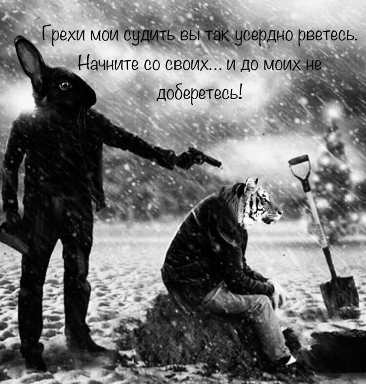  31714396  , 38 ,    