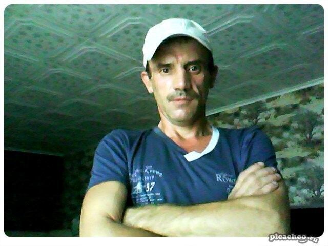  8545546  , 51 ,    