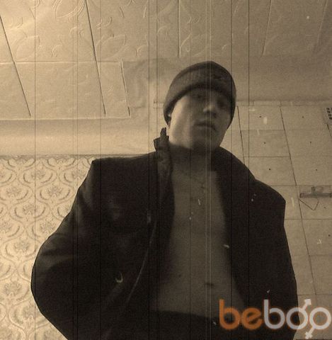  453286  Vovchenok, 44 ,    