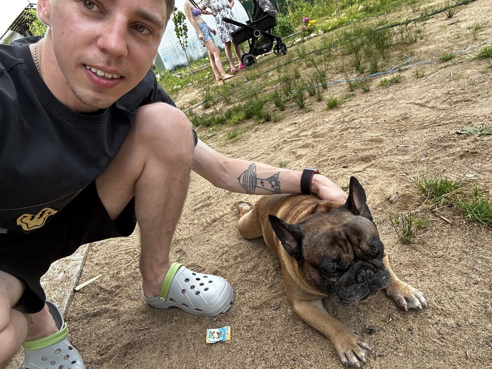 ���� 56253586 ������� ���������, 29 ���, ���� ���������� � �����-����������