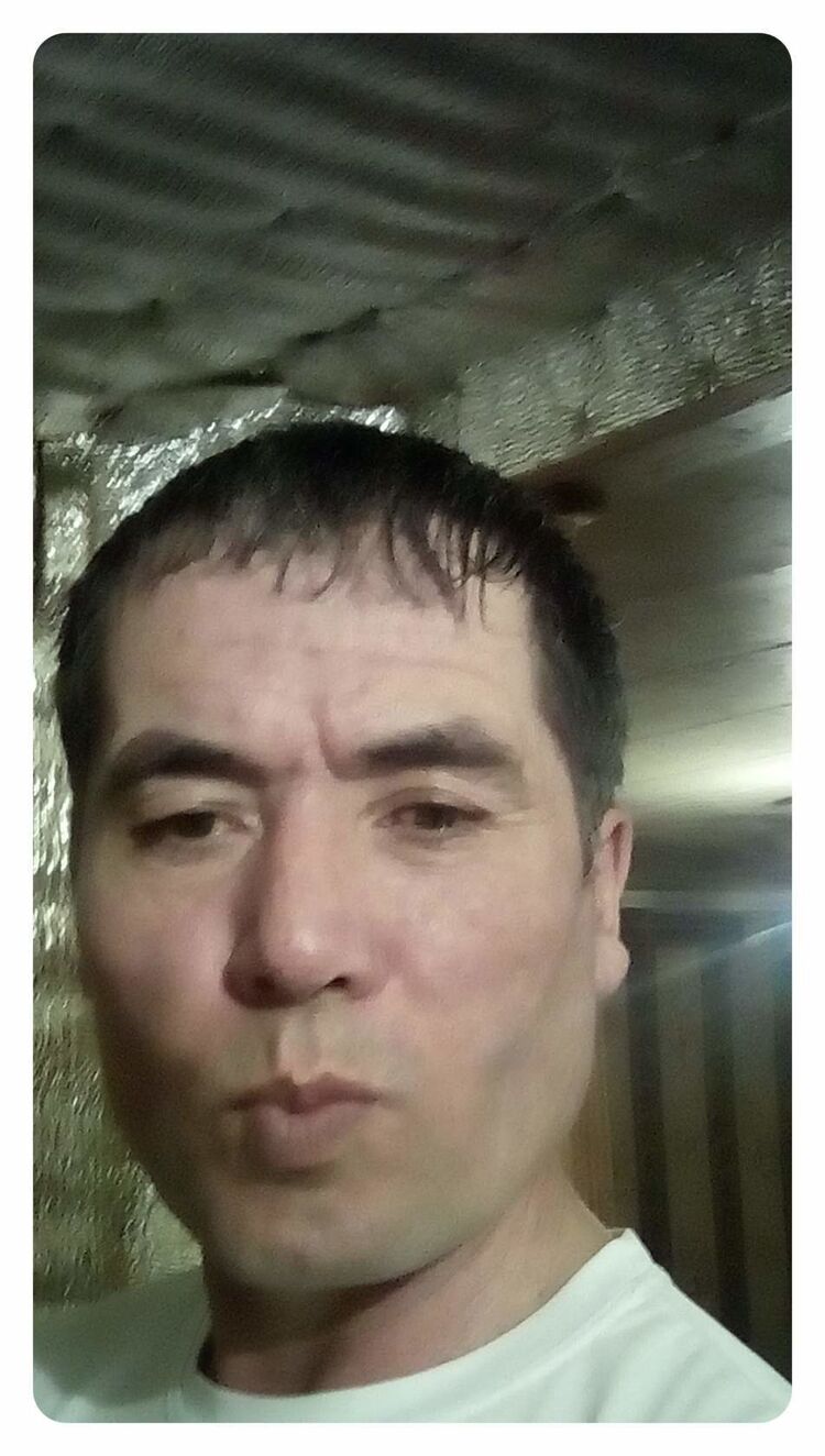  43956556  , 53 ,    