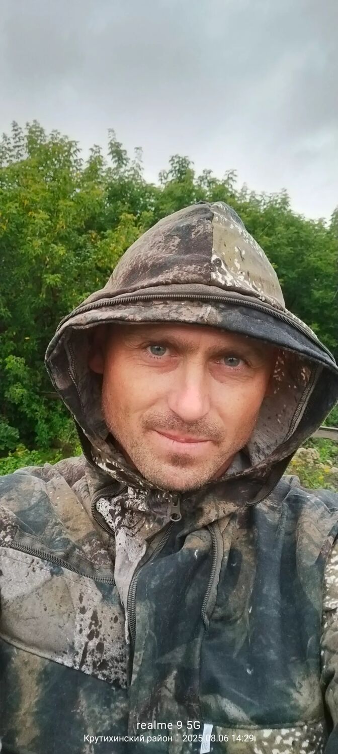  53368246  , 36 ,    --