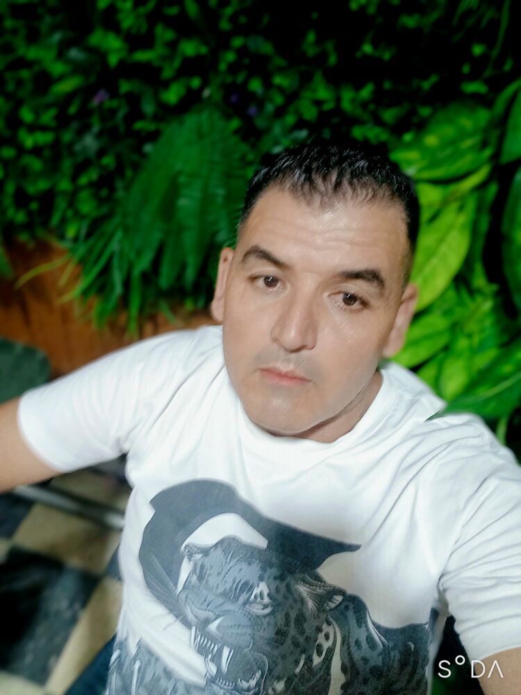  51203886   , 41 ,    