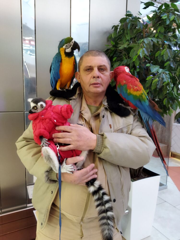 ���� 25408446 ������� ���������, 53 ����, ���� ���������� � ����