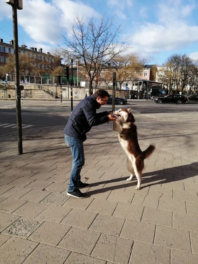 ���� 20472276 ������� Monterey, 42 ����, ���� ���������� � �������