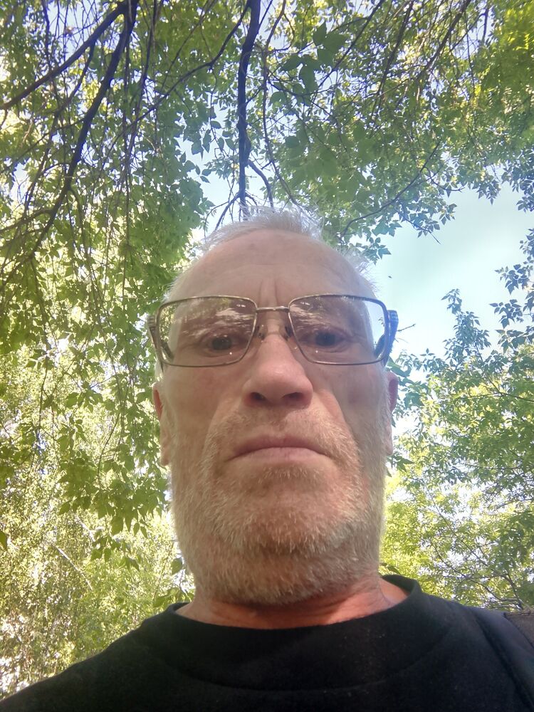  44238186  , 51 ,    