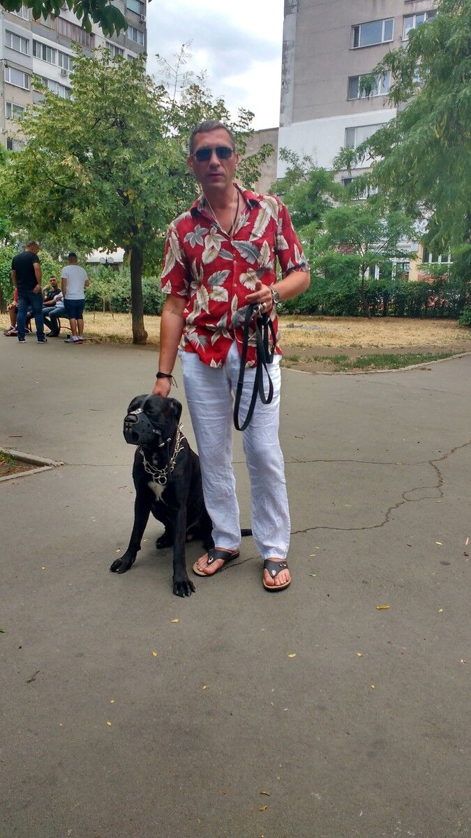 ���������� ������, ���� ������� ������, 43 ����, ������������ ��� ������, ����� � ���������, c�������� ���������