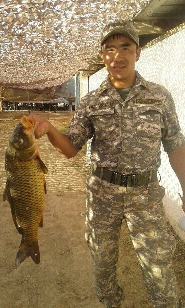 ���� 13738146 ������� �������, 41 ���, ���� ���������� � ������