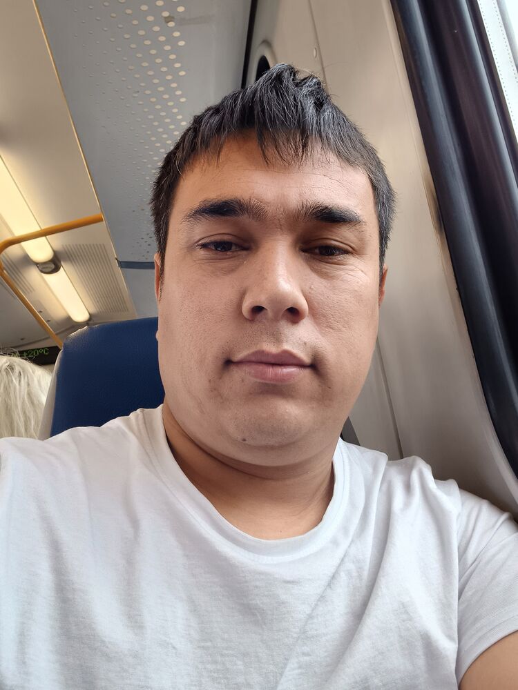  44183606  , 31 ,    -
