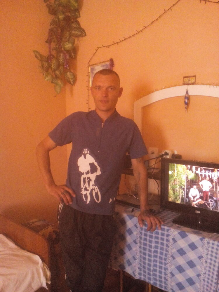  12459826  , 40 ,    