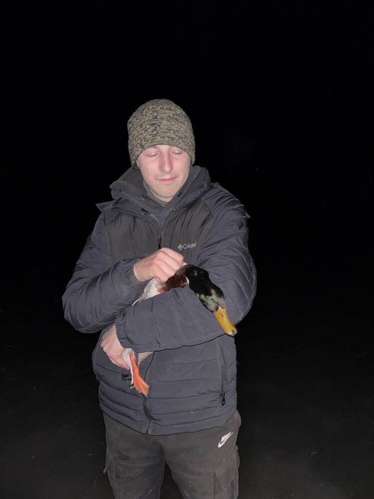 ���������� ���������, ���� ����� Ivan, 21 ���, ������������ ��� c�������� ���������