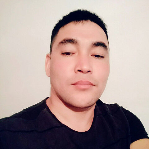  11882406  , 41 ,    