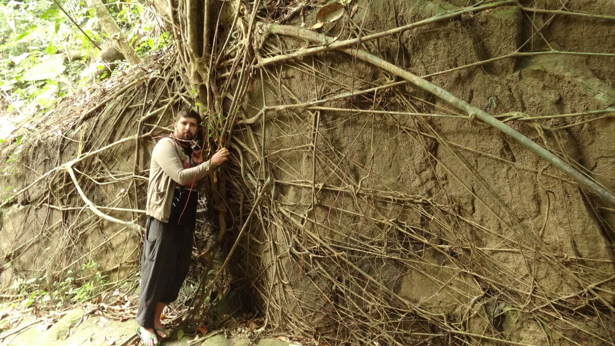 ���� 9711396 ������� �������, 40 ���, ���� ���������� � �����-����������