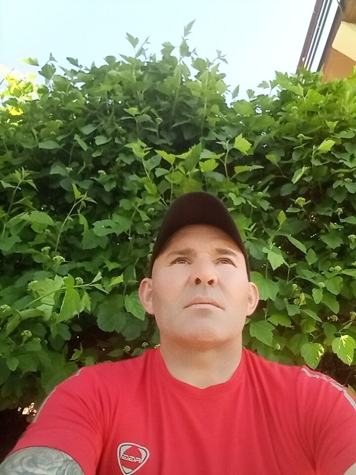  28047416  , 47 ,    