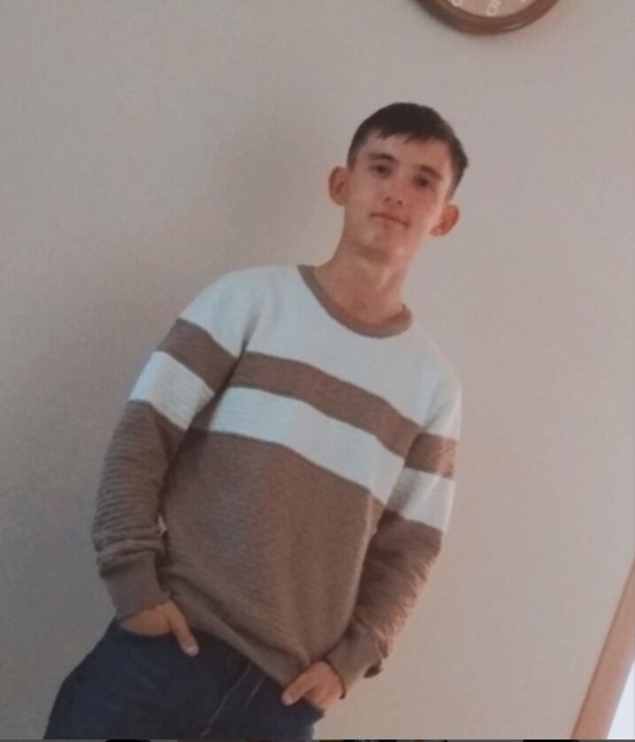  44709416  , 31 ,    