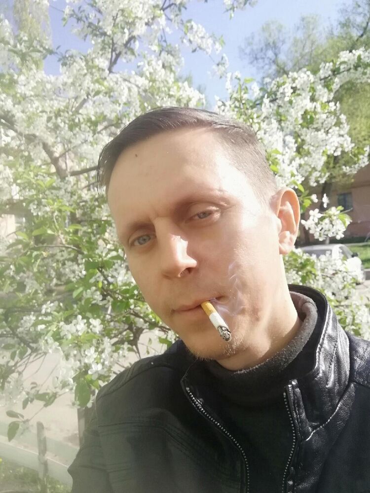  52429686  , 43 ,    