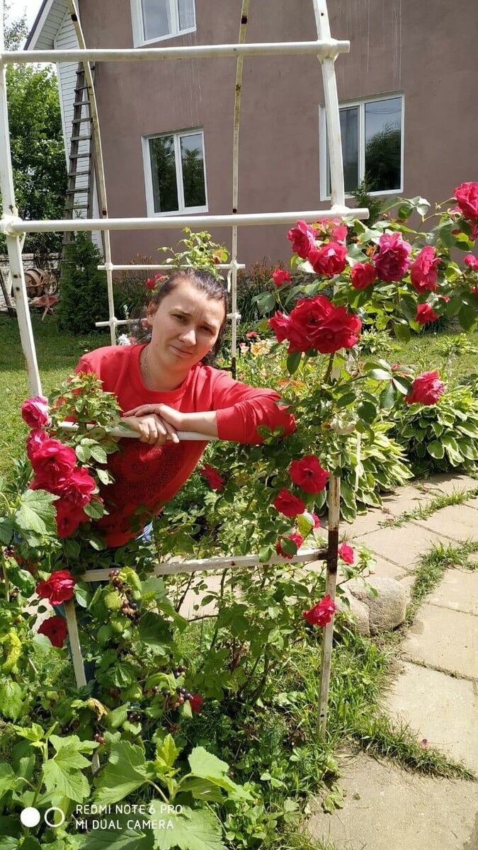 ���������� ������, ���� ������� ��������, 35 ���, ������������ ��� ������, ����� � ���������, c�������� ���������