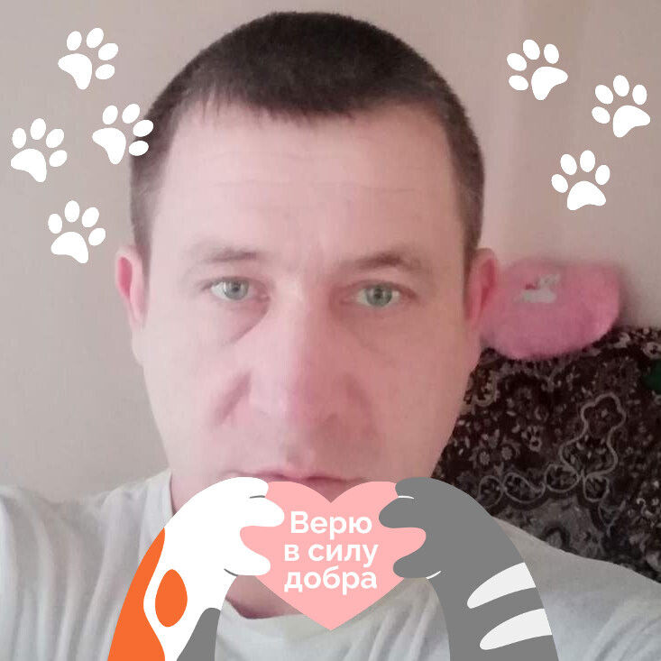  49365776  , 42 ,    -