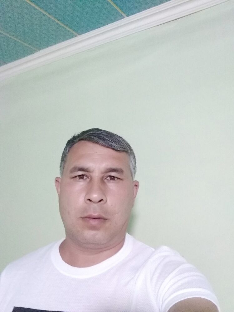  17678236  , 46 ,    